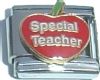 Apple for Special Teacher