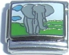 Elephant (silver trim)