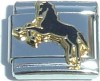 CT3455 Black Horse Italian Charm