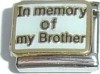 In Memory of my Brother