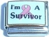 CT3969 I'm a Survivor Italian Charm