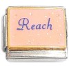 CT4436 Reach Pink Italian Charm