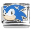 CT4440 Hedgehog Cartoon Italian Charm