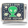 CT4582 Sorry I Dont Speak Human Italian Charm