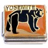 CT6737 Yosemite Bear on Brown Italian Charma