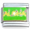 CT6932 Aloha Flowers on Green Italian Charm