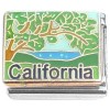 CT6938 California Tree Italian Charm