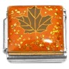 CT7419 Dark Leaf Orange Glitter Italian Charms
