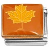 CT7421 Yellow Leaf on Amber Italian Charms