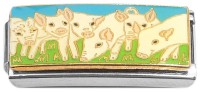 CT7483 Pigs Green Grass Superlink Italian Charm