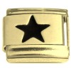 CT7548 Black Star Goldtone Base Italian Charm