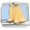 CT8195 Shar Pei Puppy Dog Italian Charm