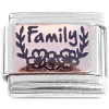 CT8325 Family Flowers Rosegold Italian Charm