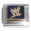 SP9523 WWE World Wrestling Entertainment Italian Charm