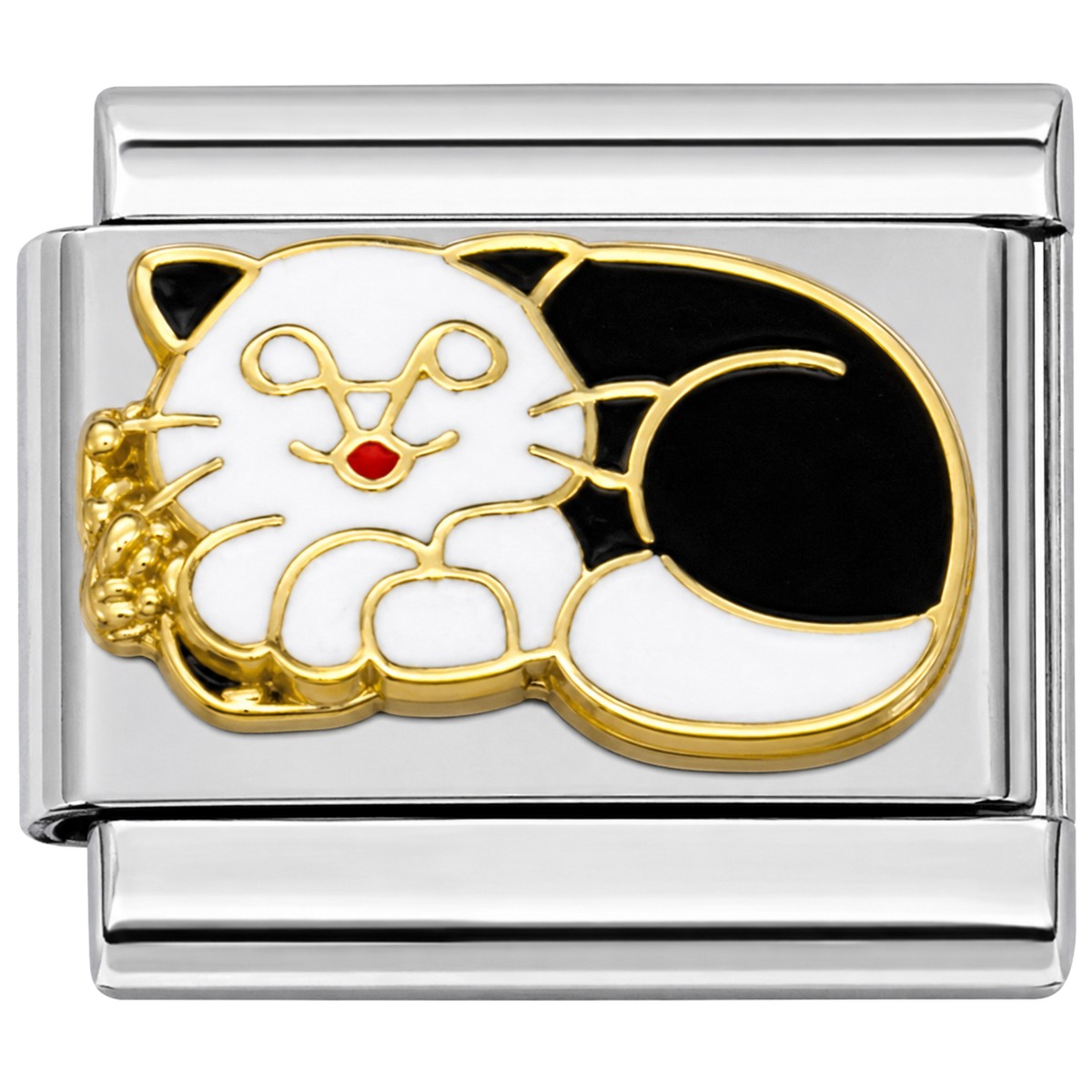 T345bk Cat in Black and White Italian Charm