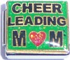 Cheerleading Mom