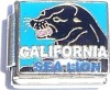 CT9075 California Sea Lion Italian Charm