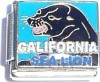 California Sea Lion Italian Charm