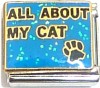 All About My Cat Italian Charm