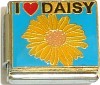 I Love Daisy