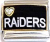 CT6421 Raiders Italian Charm