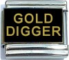 CT6534 Gold Digger Italian Charm