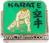 CT9484 Karate On Green Italian Charm