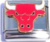 Chicago Bulls 9mm Italian Charm