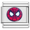 TV1042 Spidey Face Web Value Italian Charm
