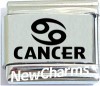 SL358 Cancer Zodiac Laser Italain Charm