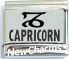 SL359 Capricorn Zodiac Laser Italain Charm