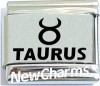 SL366 Taurus Zodiac Laser Italain Charm