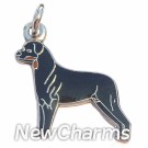 JR100 Rottweiller ORing Charm