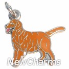 JR110 Golden Retreiver ORing Charm