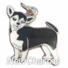 JR132 Chihuahua ORing Charm