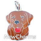 JR160 Chocolate Lab O-Ring Charm