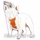 JR164 French Bulldog ORing Charm