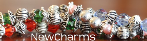SIMPLE LOOP Stainless Steel Bracelet
