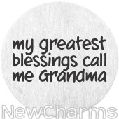 DR900 Silver BIG Handwritten Family Disk