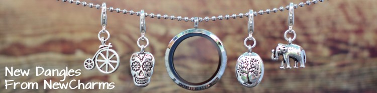 Dangle Locket Charms from NewCharms