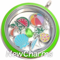 TS10  Twist Stainless Steel Silver Big Round Loose Floating Locket