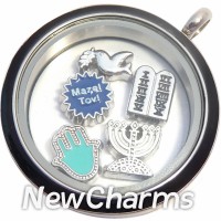 TS10  Twist Stainless Steel Silver Big Round Loose Floating Locket