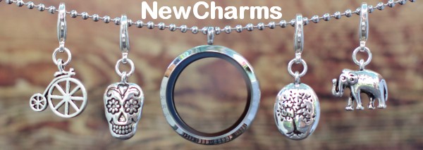 Dangle Locket Charms from NewCharms