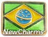 H1107 Flag of Brazil Floating Locket Charm