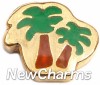 H1108 Palm Trees Floating Locket Charm