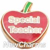 H1143 Special Teacher Floating Locket Charm