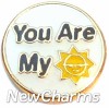 H1147 You Are My Sunshine Floating Locket Charm