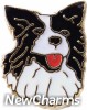 H1443 Black And White Dog Floating Locket Charm