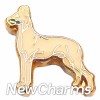 Great Dane Floating Locket Charm