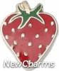 Great Floating Locket Charm